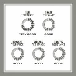 Pennington 20 lbs. Southern Contractors Grass Seed Mix -Everbilt Sales Store pennington grass seed 100520263 a0 1000