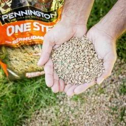 Pennington 35 lb. One Step Complete for Bermudagrass Areas with Mulch, Grass Seed, Fertilizer Mix -Everbilt Sales Store pennington grass seed 100522291 fa 1000