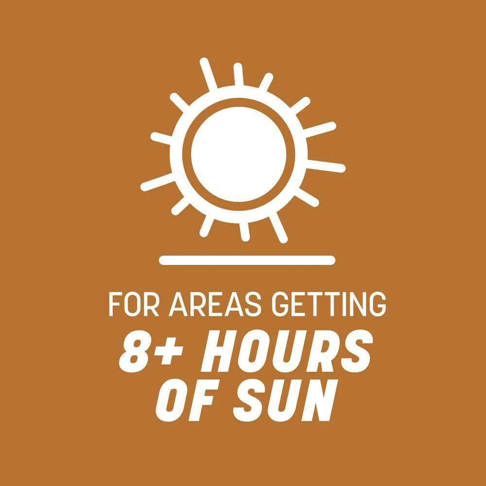 Pennington 5 lbs. Centipede Grass Seed and Mulch 5 Pennington 5 lbs. Centipede Grass Seed and Mulch - Image 5