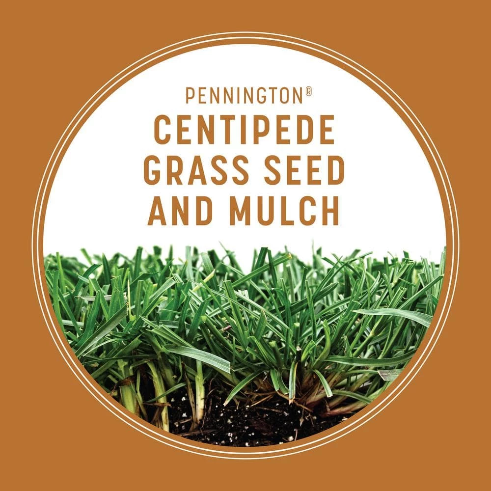 Pennington 5 lbs. Centipede Grass Seed and Mulch 3 Pennington 5 lbs. Centipede Grass Seed and Mulch - Image 3