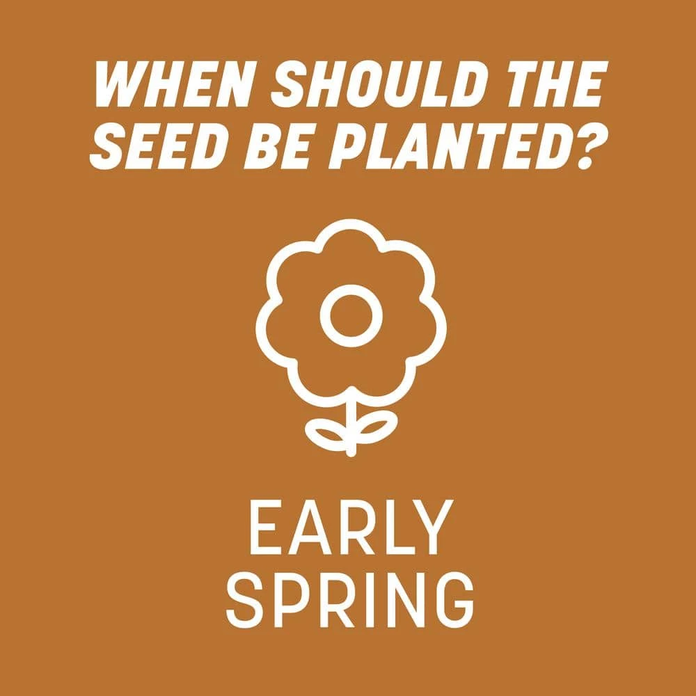 Pennington 5 lbs. Centipede Grass Seed and Mulch 11 Pennington 5 lbs. Centipede Grass Seed and Mulch - Image 11