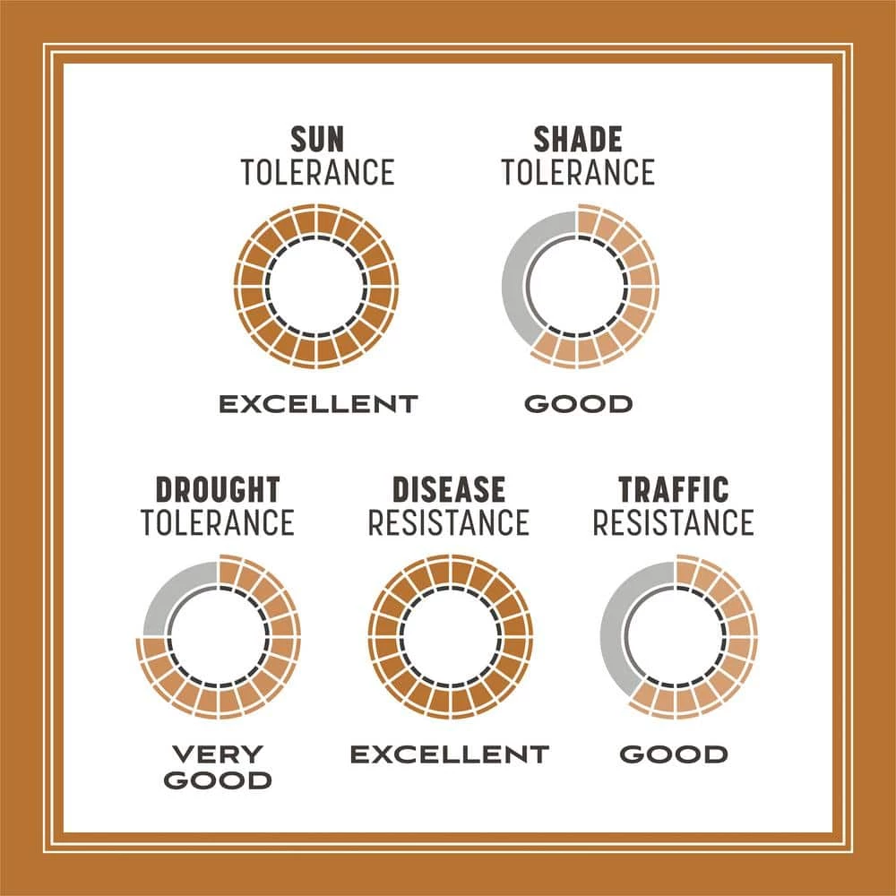 Pennington 5 lbs. Centipede Grass Seed and Mulch 4 Pennington 5 lbs. Centipede Grass Seed and Mulch - Image 4