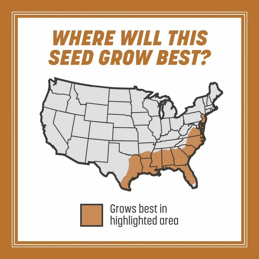 Pennington 5 lbs. Centipede Grass Seed and Mulch 2 Pennington 5 lbs. Centipede Grass Seed and Mulch - Image 2