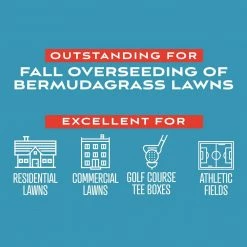 Pennington 5 lbs. Fairway Supreme Perennial Ryegrass Blend -Everbilt Sales Store pennington grass seed 100534839 c3 1000