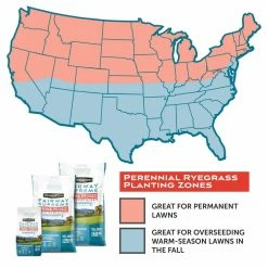 Everbilt Sales Store -Everbilt Sales Store pennington grass seed 100534839 e1 1000