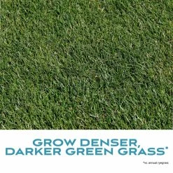 Pennington 5 lbs. Fairway Supreme Perennial Ryegrass Blend -Everbilt Sales Store pennington grass seed 100534839 fa 1000