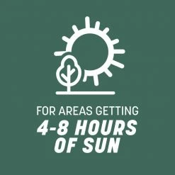 Pennington Kentucky 31, 40 lbs. Tall Fescue Penkoted Grass Seed -Everbilt Sales Store pennington grass seed 100537715 1d 1000