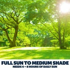 Pennington 35 lbs. Sun and Shade Lawn Booster with Smart Seed, Fertilizer and Soil Enhancers 16 Pennington 35 lbs. Sun and Shade Lawn Booster with Smart Seed, Fertilizer and Soil Enhancers -Everbilt Sales Store pennington grass seed 100540513 fa 1000