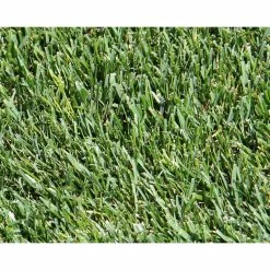 Pennington 9.6 lbs. Tall Fescue Lawn Booster with Smart Seed, Fertilizer and Soil Enhancers -Everbilt Sales Store pennington grass seed 100540514 31 1000