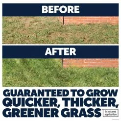 Pennington 9.6 lbs. Tall Fescue Lawn Booster with Smart Seed, Fertilizer and Soil Enhancers -Everbilt Sales Store pennington grass seed 100540514 c3 1000