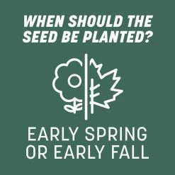 Pennington 20 lbs. KY 31 Fescue Grass Seed -Everbilt Sales Store pennington grass seed 100543701 1f 1000