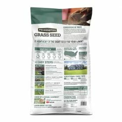 Pennington 20 lbs. KY 31 Fescue Grass Seed -Everbilt Sales Store pennington grass seed 100543701 44 1000