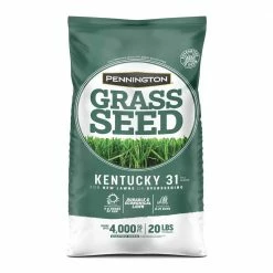 Pennington 20 lbs. KY 31 Fescue Grass Seed