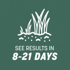 Pennington 20 lbs. KY 31 Fescue Grass Seed -Everbilt Sales Store pennington grass seed 100543701 66 1000