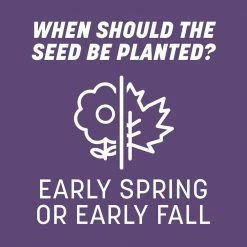 Pennington Smart Seed 3 lbs. Dense Shade Grass Seed and Fertilizer -Everbilt Sales Store pennington grass seed 100543702 44 1000