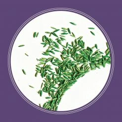 Pennington Smart Seed 7 lbs. Dense Shade Grass Seed and Fertilizer -Everbilt Sales Store pennington grass seed 100543703 1f 1000