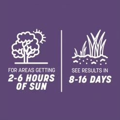 Pennington Smart Seed 7 lbs. Dense Shade Grass Seed and Fertilizer -Everbilt Sales Store pennington grass seed 100543703 77 1000