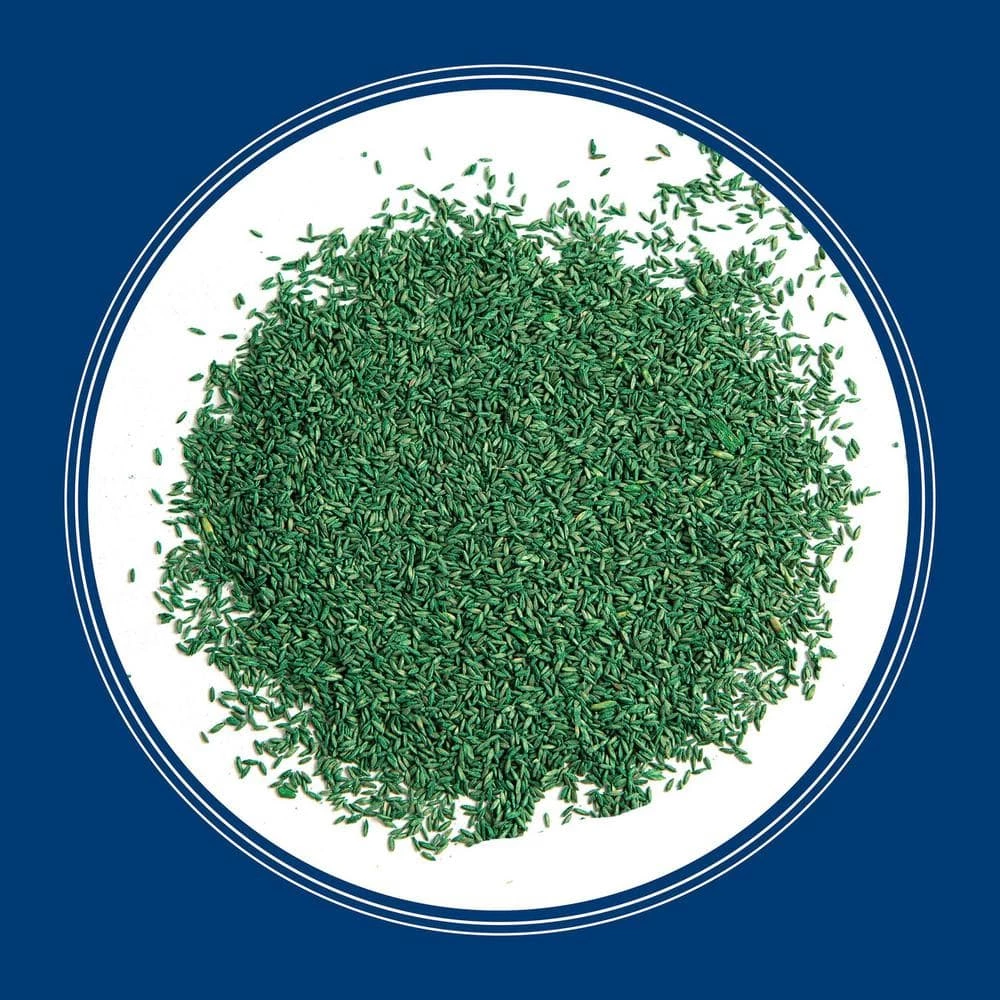 Pennington Smart Seed 3 lbs. Kentucky Bluegrass Grass Seed Blend 10 Pennington Smart Seed 3 lbs. Kentucky Bluegrass Grass Seed Blend - Image 10