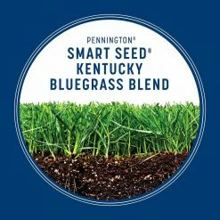 Pennington Smart Seed 3 lbs. Kentucky Bluegrass Grass Seed Blend 16 Pennington Smart Seed 3 lbs. Kentucky Bluegrass Grass Seed Blend -Everbilt Sales Store pennington grass seed 100543705 40 1000