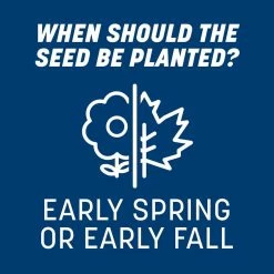 Pennington Smart Seed 3 lbs. Kentucky Bluegrass Grass Seed Blend 24 Pennington Smart Seed 3 lbs. Kentucky Bluegrass Grass Seed Blend -Everbilt Sales Store pennington grass seed 100543705 44 1000