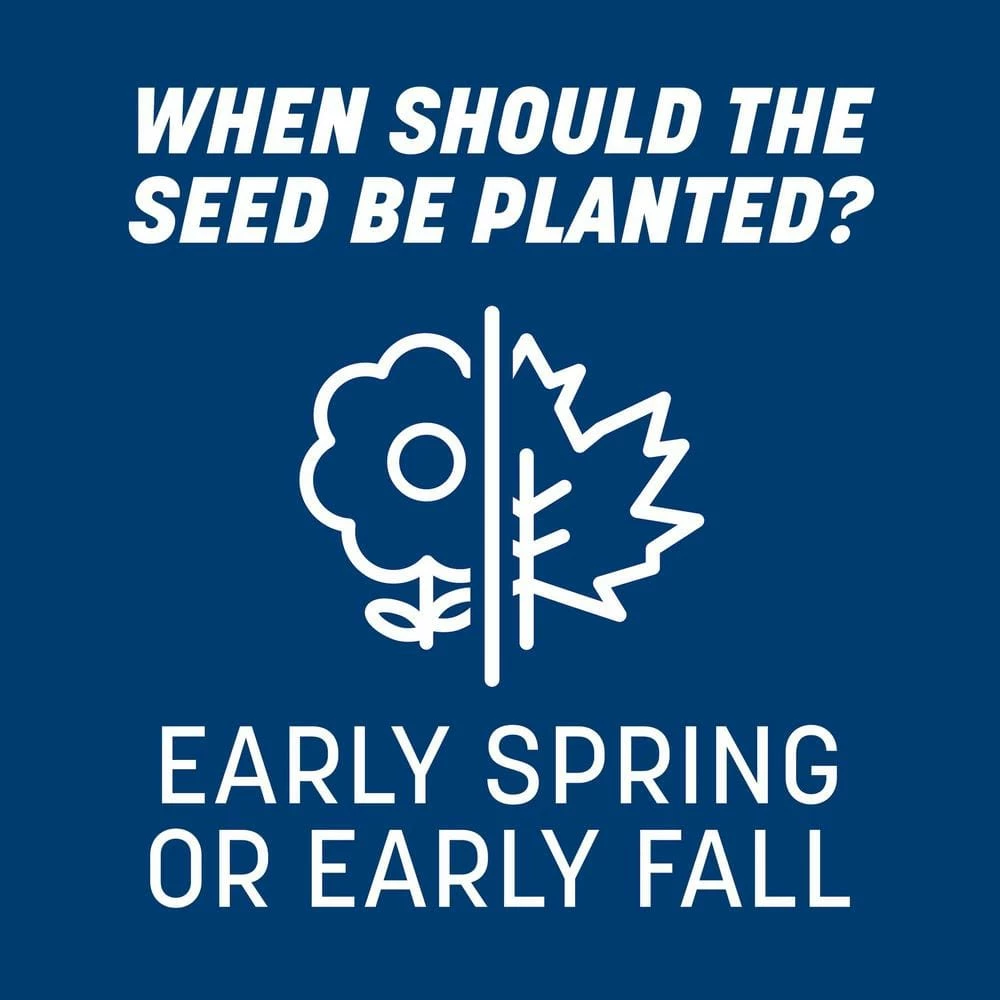 Pennington Smart Seed 3 lbs. Kentucky Bluegrass Grass Seed Blend 11 Pennington Smart Seed 3 lbs. Kentucky Bluegrass Grass Seed Blend - Image 11