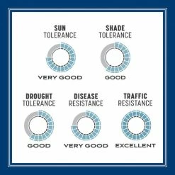 Pennington Smart Seed 3 lbs. Kentucky Bluegrass Grass Seed Blend 19 Pennington Smart Seed 3 lbs. Kentucky Bluegrass Grass Seed Blend -Everbilt Sales Store pennington grass seed 100543705 66 1000