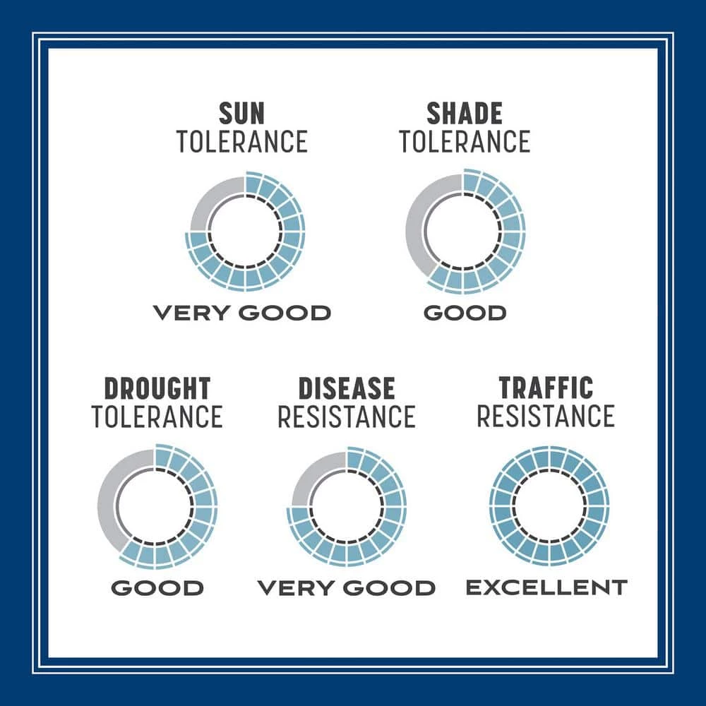 Pennington Smart Seed 3 lbs. Kentucky Bluegrass Grass Seed Blend 6 Pennington Smart Seed 3 lbs. Kentucky Bluegrass Grass Seed Blend - Image 6