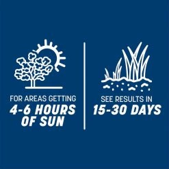 Pennington Smart Seed 3 lbs. Kentucky Bluegrass Grass Seed Blend 20 Pennington Smart Seed 3 lbs. Kentucky Bluegrass Grass Seed Blend -Everbilt Sales Store pennington grass seed 100543705 77 1000