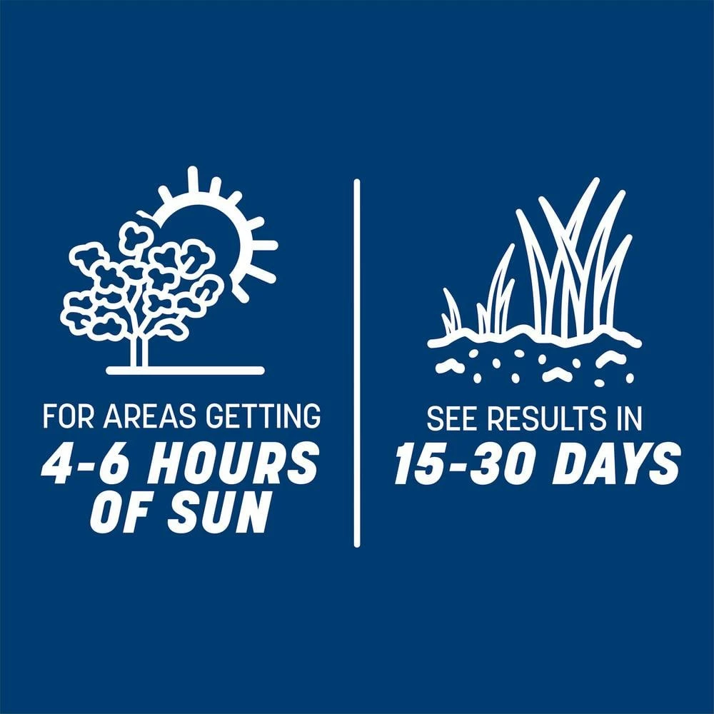 Pennington Smart Seed 3 lbs. Kentucky Bluegrass Grass Seed Blend 7 Pennington Smart Seed 3 lbs. Kentucky Bluegrass Grass Seed Blend - Image 7