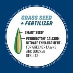 Pennington Smart Seed 3 lbs. Kentucky Bluegrass Grass Seed Blend 17 Pennington Smart Seed 3 lbs. Kentucky Bluegrass Grass Seed Blend -Everbilt Sales Store pennington grass seed 100543705 a0 1000