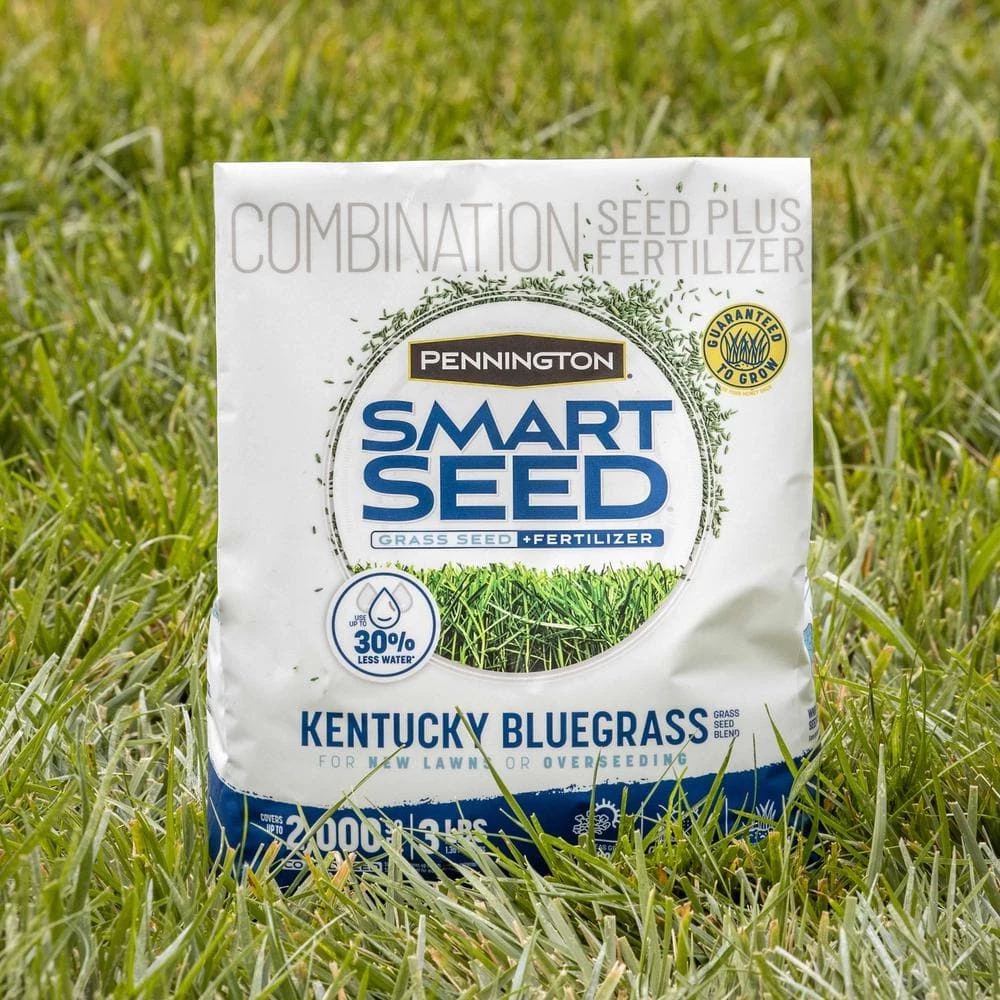 Pennington Smart Seed 3 lbs. Kentucky Bluegrass Grass Seed Blend 14 Pennington Smart Seed 3 lbs. Kentucky Bluegrass Grass Seed Blend - Image 14