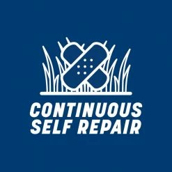 Pennington Smart Seed 3 lbs. Kentucky Bluegrass Grass Seed Blend 25 Pennington Smart Seed 3 lbs. Kentucky Bluegrass Grass Seed Blend -Everbilt Sales Store pennington grass seed 100543705 fa 1000