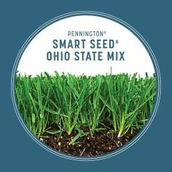 Pennington Smart Seed 3 lbs. Ohio State Grass Seed and Fertilizer -Everbilt Sales Store pennington grass seed 100543709 40 1000