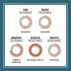 Pennington Smart Seed 7 lbs. Ohio State Grass Seed and Fertilizer -Everbilt Sales Store pennington grass seed 100543710 66 1000