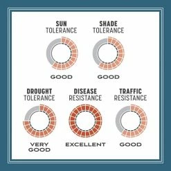 Pennington Smart Seed 20 lbs. Ohio State Grass Seed and Fertilizer -Everbilt Sales Store pennington grass seed 100543711 66 1000