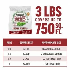 Pennington Smart Seed 3 lbs. Perennial Ryegrass Grass Seed Blend -Everbilt Sales Store pennington grass seed 100543717 4f 1000