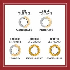 Pennington Smart Seed 3 lbs. Perennial Ryegrass Grass Seed Blend -Everbilt Sales Store pennington grass seed 100543717 66 1000