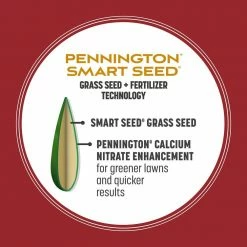 Pennington Smart Seed 3 lbs. Perennial Ryegrass Grass Seed Blend -Everbilt Sales Store pennington grass seed 100543717 a0 1000