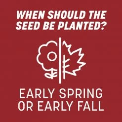 Pennington Smart Seed 3 lbs. Perennial Ryegrass Grass Seed Blend -Everbilt Sales Store pennington grass seed 100543717 fa 1000