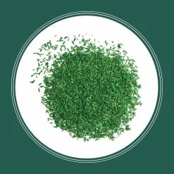 Pennington Smart Seed 7 lbs. Sun and Shade North Grass Seed and Fertilizer -Everbilt Sales Store pennington grass seed 100543719 1f 1000