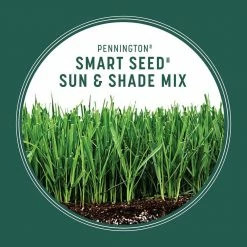 Pennington Smart Seed 7 lbs. Sun and Shade North Grass Seed and Fertilizer -Everbilt Sales Store pennington grass seed 100543719 40 1000