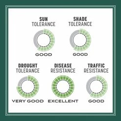 Pennington Smart Seed 7 lbs. Sun and Shade North Grass Seed and Fertilizer -Everbilt Sales Store pennington grass seed 100543719 66 1000