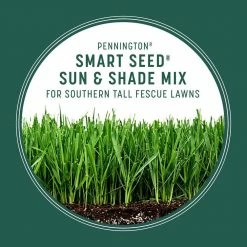 Pennington Smart Seed 3 lbs. Sun and Shade South Grass Seed and Fertilizer -Everbilt Sales Store pennington grass seed 100543722 40 1000