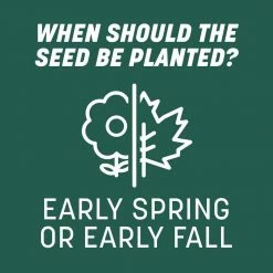 Pennington Smart Seed 3 lbs. Sun and Shade South Grass Seed and Fertilizer -Everbilt Sales Store pennington grass seed 100543722 44 1000