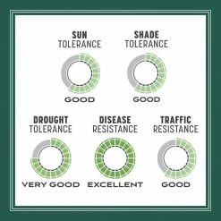 Pennington Smart Seed 3 lbs. Sun and Shade South Grass Seed and Fertilizer -Everbilt Sales Store pennington grass seed 100543722 66 1000