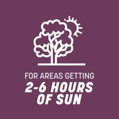 Pennington The Rebels 3 lbs. Shady Lawn Grass Seed Mix -Everbilt Sales Store pennington grass seed 100543725 1d 1000