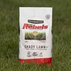 Pennington The Rebels 3 lbs. Shady Lawn Grass Seed Mix -Everbilt Sales Store pennington grass seed 100543725 fa 1000