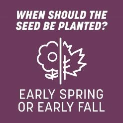 Pennington The Rebels 7 lbs. Shady Lawn Grass Seed Mix -Everbilt Sales Store pennington grass seed 100543726 1f 1000