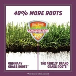 Pennington The Rebels 7 lbs. Shady Lawn Grass Seed Mix -Everbilt Sales Store pennington grass seed 100543726 40 1000