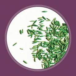 Pennington The Rebels 7 lbs. Shady Lawn Grass Seed Mix -Everbilt Sales Store pennington grass seed 100543726 4f 1000